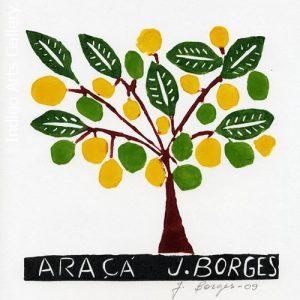 José Francisco Borges - Araca