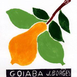 Goiaba  - José Francisco Borges