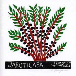 Jaboticaba - José Francisco Borges