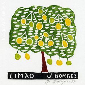 José Francisco Borges - Limao