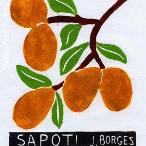 Sapoti - José Francisco Borges