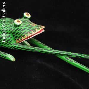 Long-legged Frog from Oaxaca